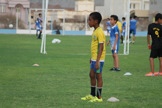 IMG-0477.jpg