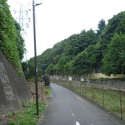 P1350332