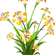 eXACAkh