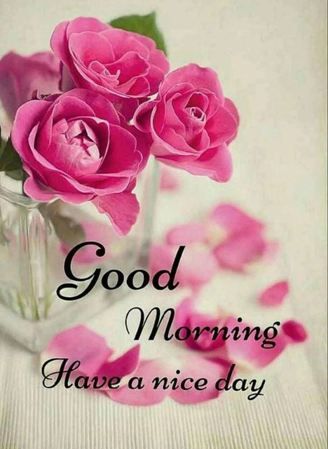 good-day-1
