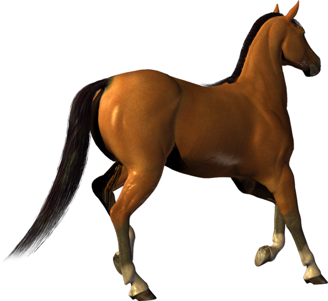 horse-PNG336-result