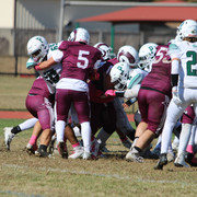 IMG-8199