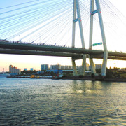 IMG-0265