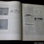 IMG-6153