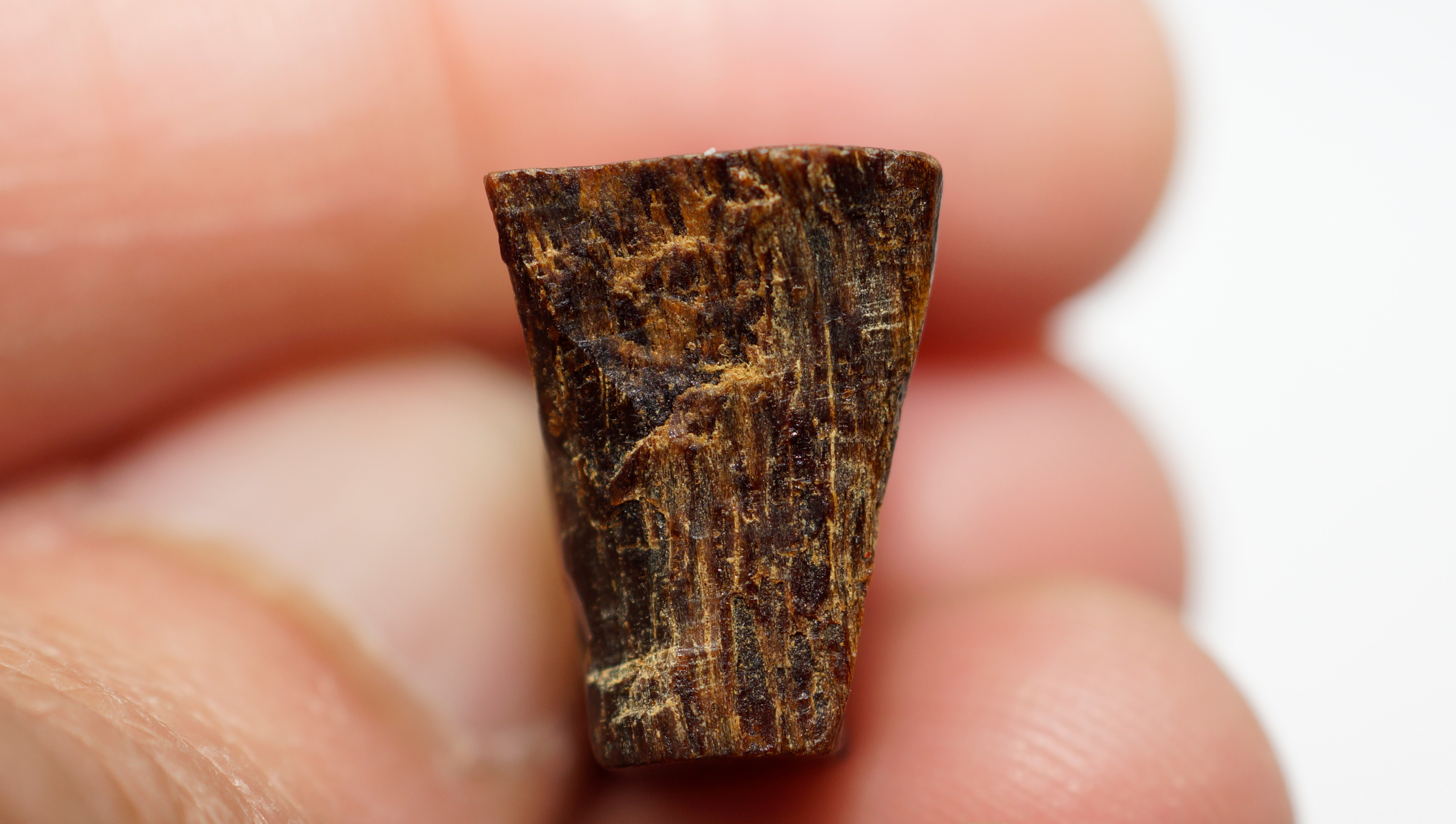 [Ouddict.com] Oud Wood
