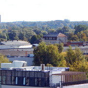 DSCN8282