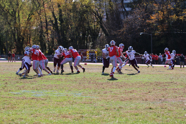 IMG-1177.jpg