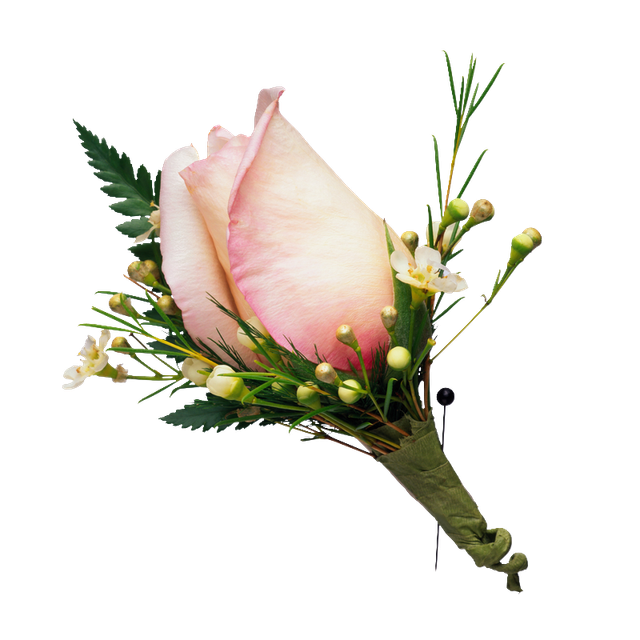 0-5f88d-c78c7316-XL