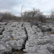 044a-Limestone-Pavement