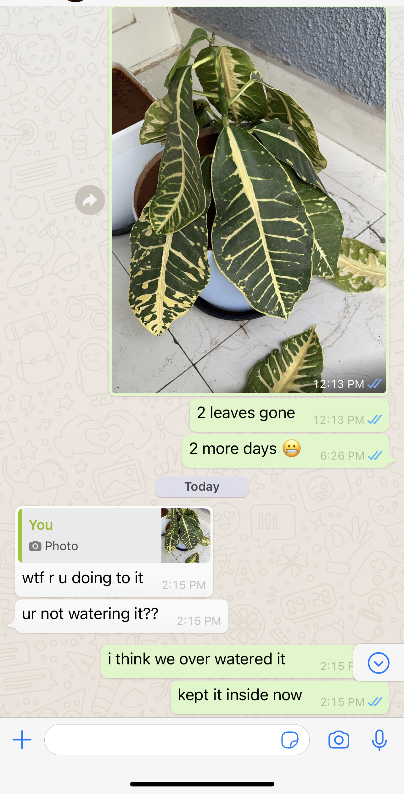 image0.png