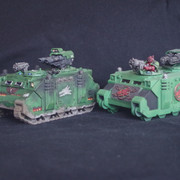 razorbacks