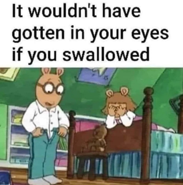 swallow.jpg