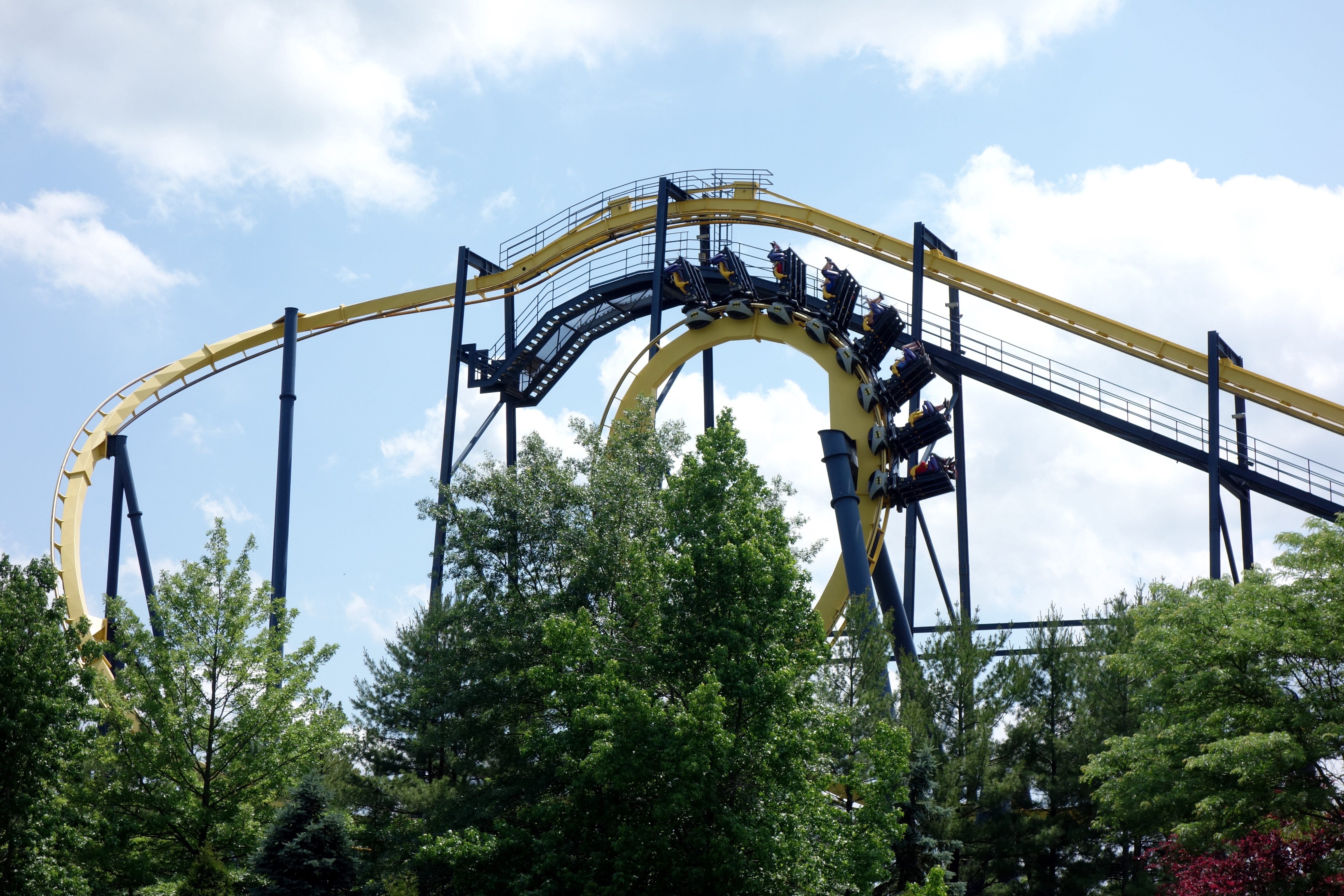 DSC01971