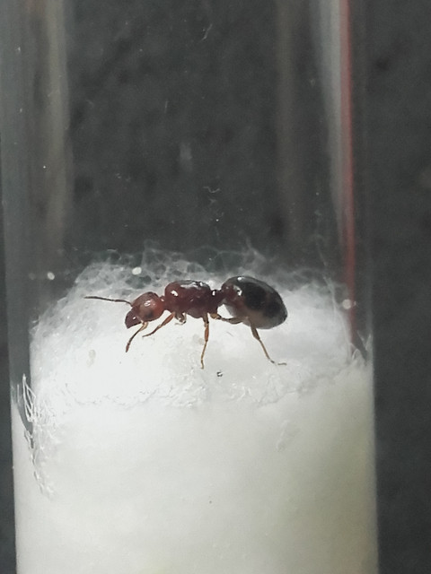 20190107-140741