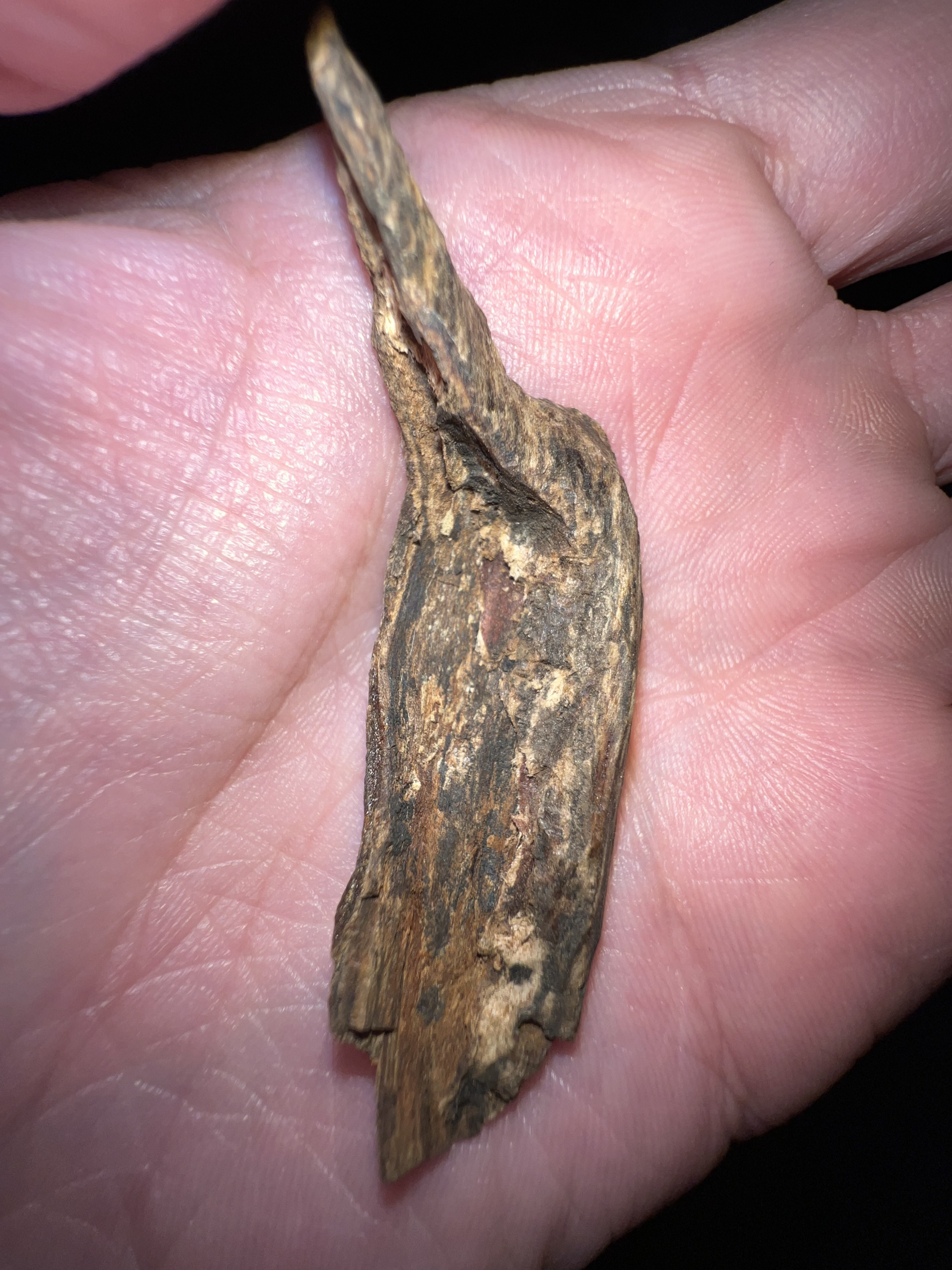 [Ouddict.com] Oud Photos