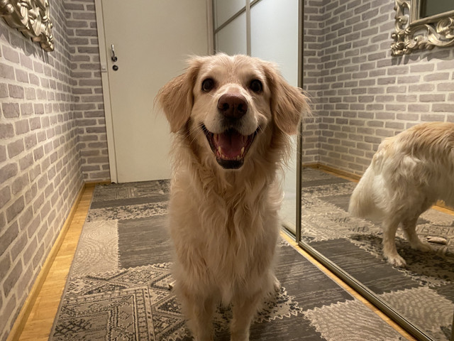 EAD167-E5-583-F-4190-8-DD8-DDF11936-EEB6