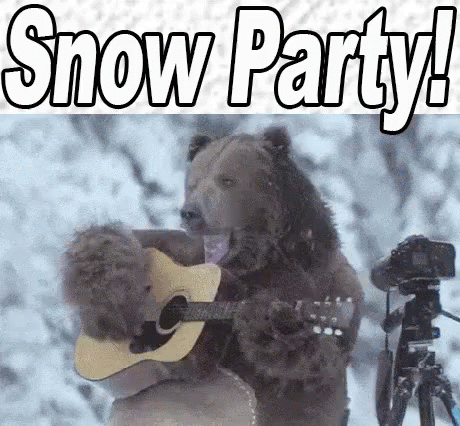 bear-guitar