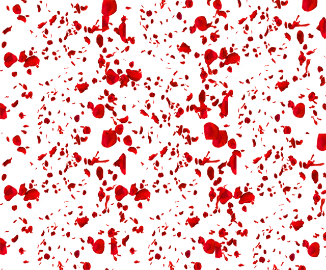 petalos1.png