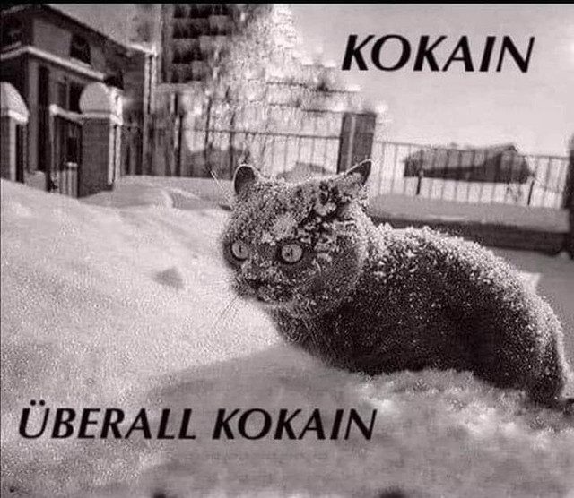 Schneeeeeeeeeee