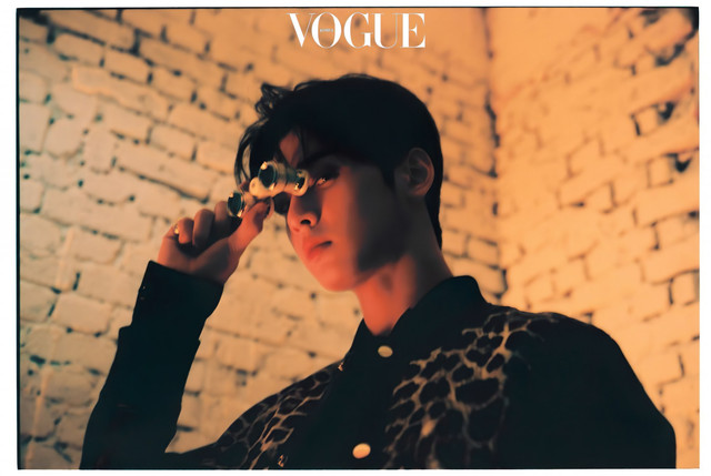cha eun woo 1219115