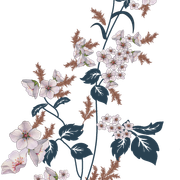motif 2