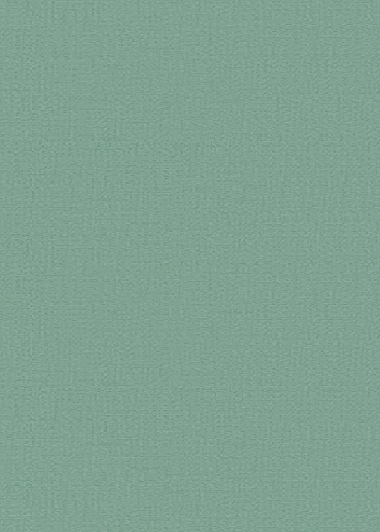 B 3845 BOTTOM B.jpg