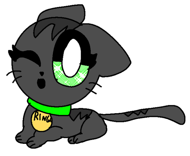 Ringo-Cat.png