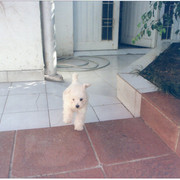 img002