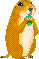 groundhog 10