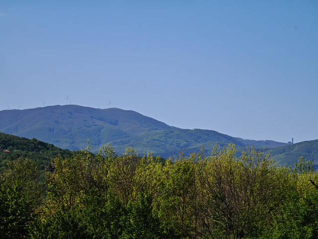 IMG-20250503-101514