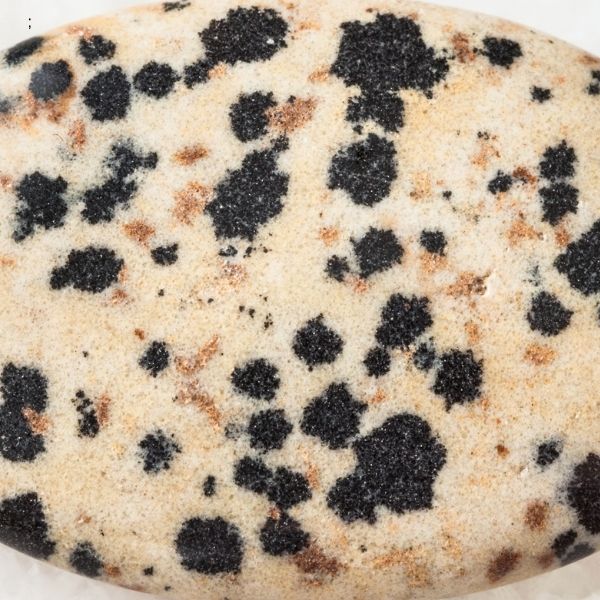 Jaspe Dalmatien