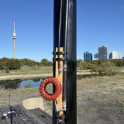 IMG 3704