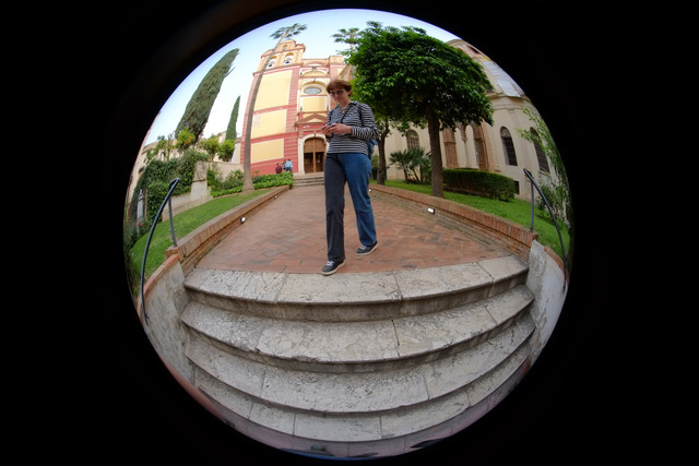 DSCF8953.jpg