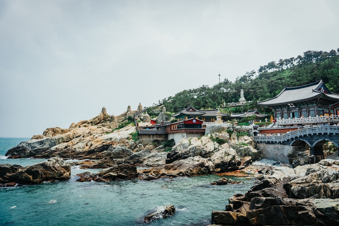 East coast Jeju Island coastal village shoreline with calm ocean water, the kind of morning scene where haenyeo tewak buoys mark active dive spots