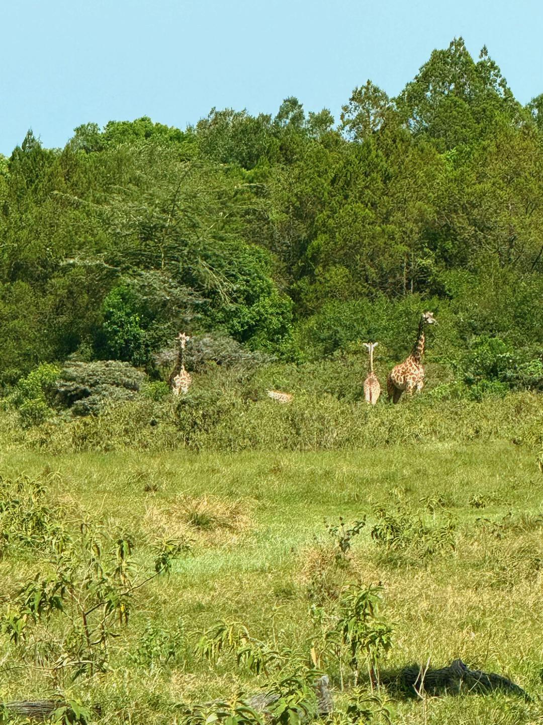 Arusha National Park