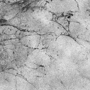 texturegobt9