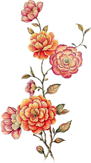 2ab58e7f72b1bdc2dc1829d6906d27dc.png