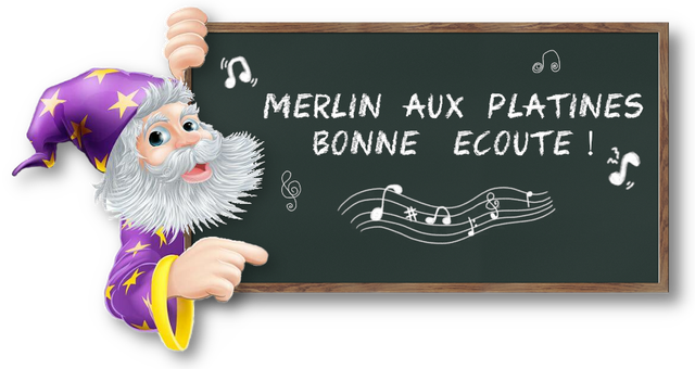 VERT Merlin platines.webp