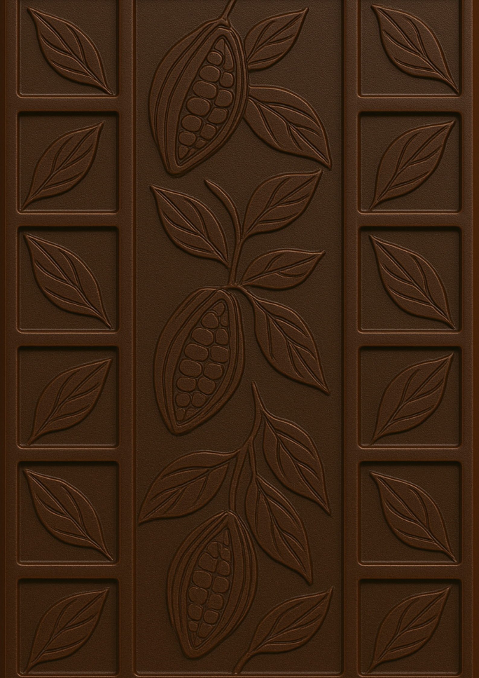 Petra Chocolate — Creative Direction