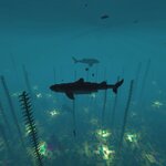 ff1d5cb5e9a7.jpg