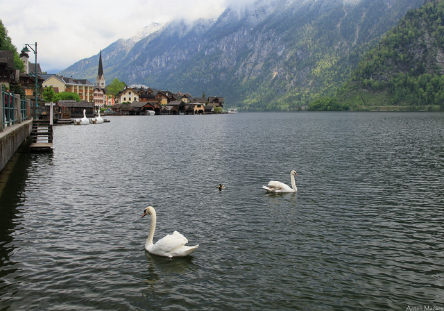 IMG-0090-3