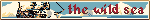 the wild sea.webp