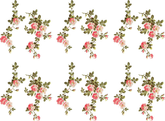 shutterstock 2044385120.jpg