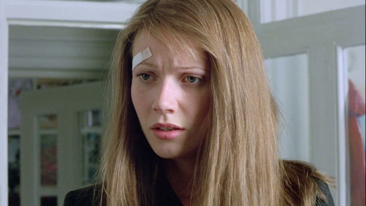 Sliding Doors Screenshot