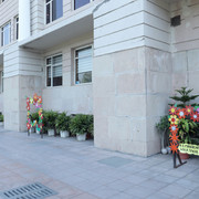 IMG 5583