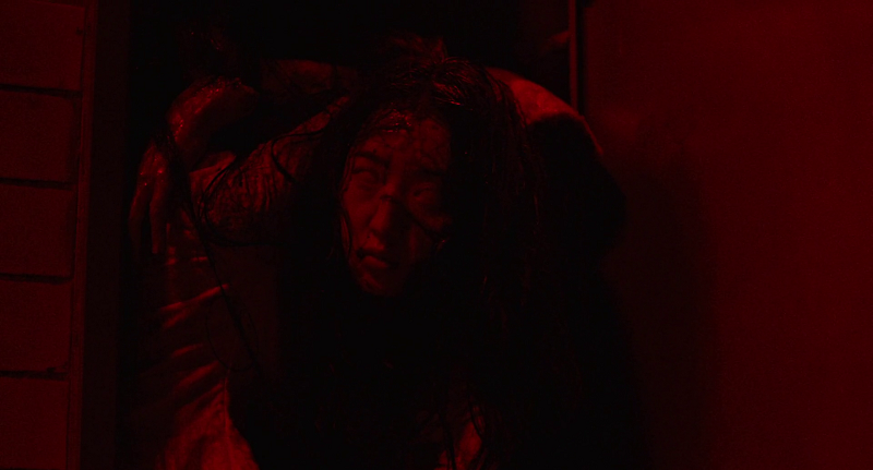 Iveloic-O4sp-VREl-1679893689