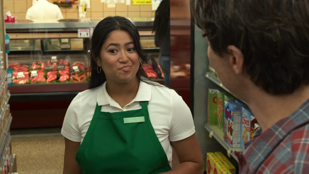 Cheaper by the Dozen Screenshot