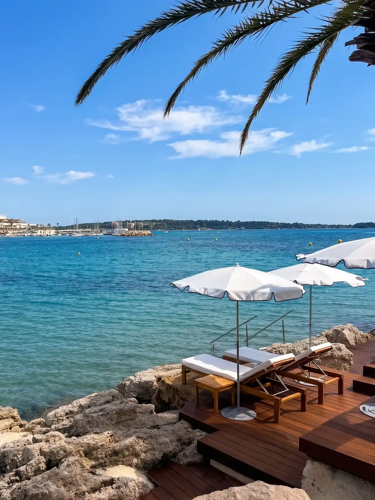 The Evolution of Fine Dining in Cannes