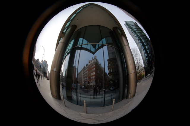 DSCF8880.jpg