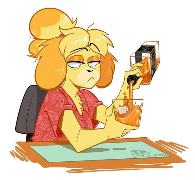 IMG-0915.jpg